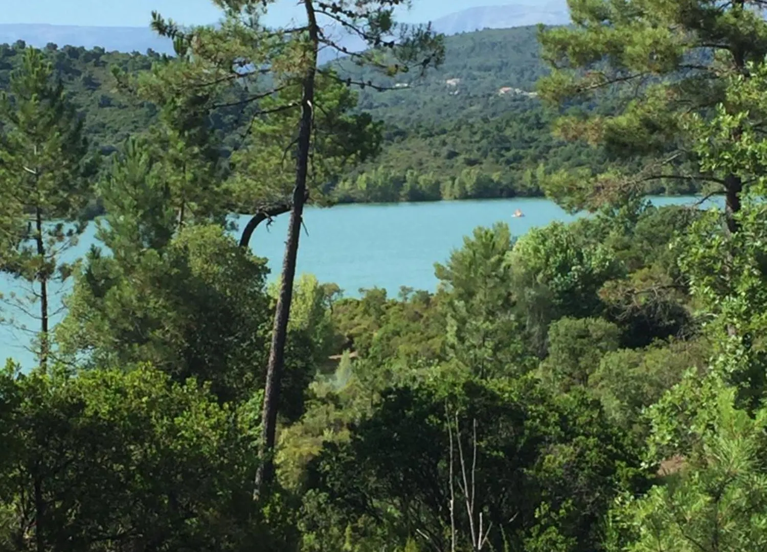 Charmant Appartement Renove Seillans Apartament